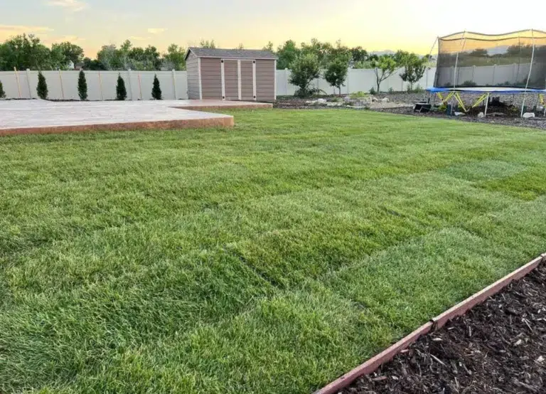 Why You Need Back Yard Remodeling Services In 2025
